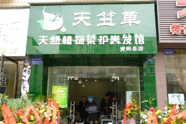 天竺草植物染发加盟门店