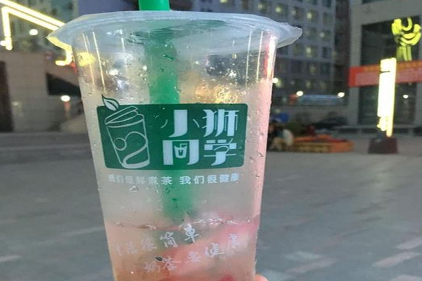 小狮同学加盟门店