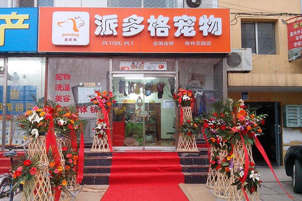 派多格宠物店加盟门店