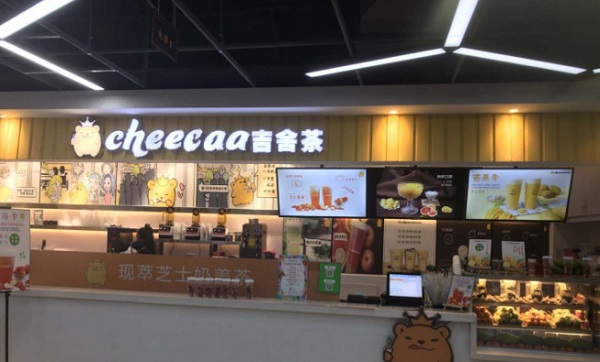 cheecaa吉舍茶加盟费