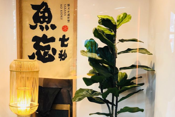 鱼忘七秒加盟门店