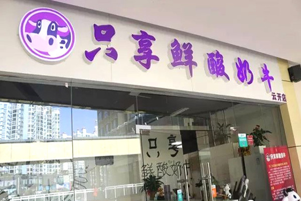 只享鲜酸奶牛加盟门店