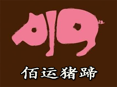 佰运猪蹄加盟