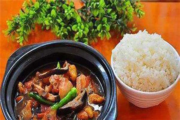 刘氏黄焖鸡米饭加盟费