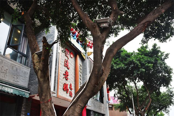 双流老妈兔头