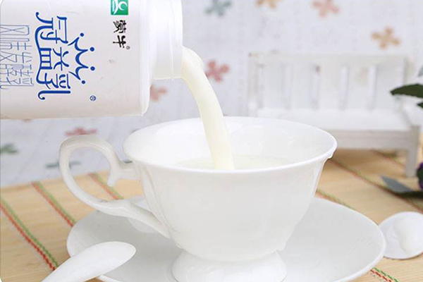 冠益乳酸奶加盟