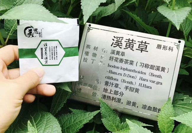 美思康宸溪皇薏湿茶加盟