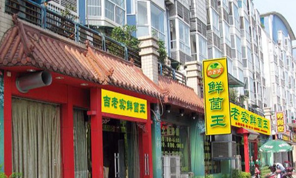 吉老实鲜菌王