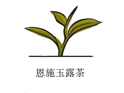 恩施玉露茶加盟费