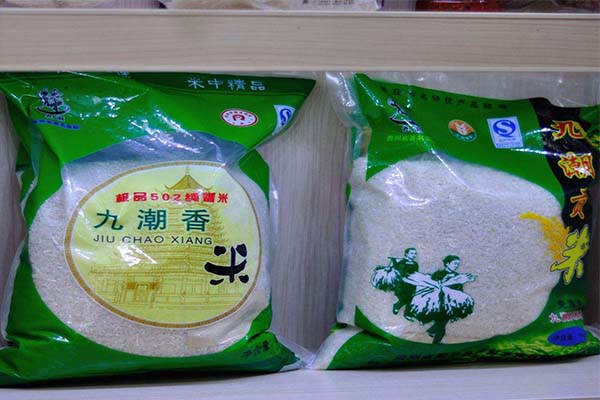 九潮米加盟费