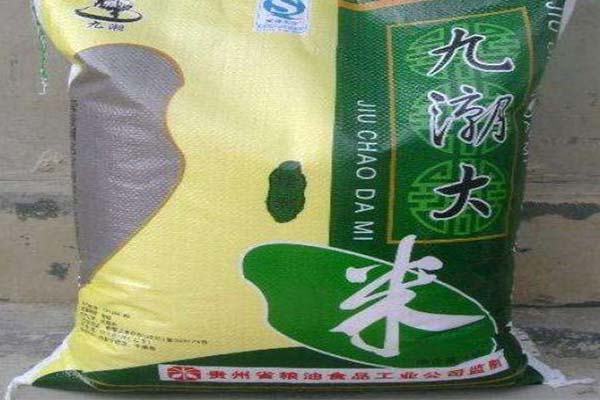 九潮米加盟费
