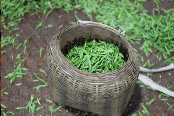 历口祁门红茶加盟门店