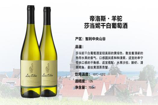 莎当妮干白葡萄酒加盟费