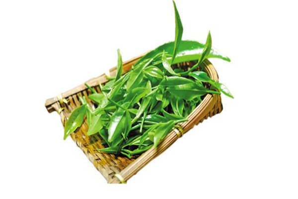 云享茗茶加盟费