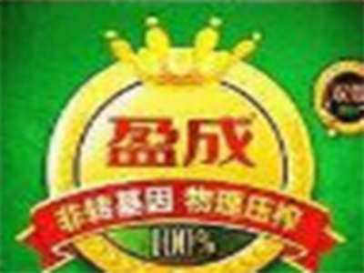 盈成双低菜籽油加盟