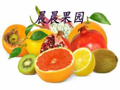晨晨果园加盟电话