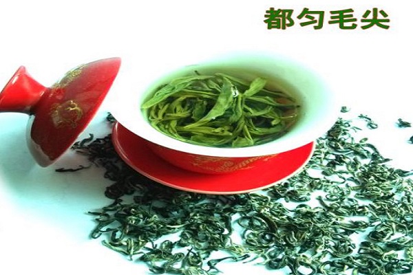 都匀毛尖