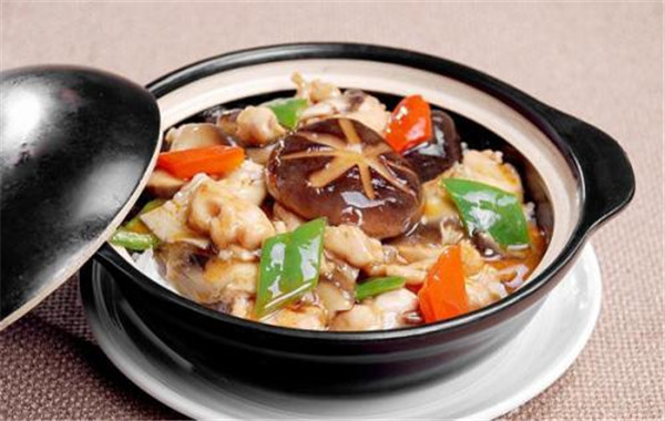 天天来煲仔饭加盟费