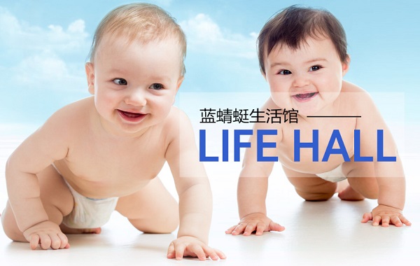 蓝蜻蜓加盟费