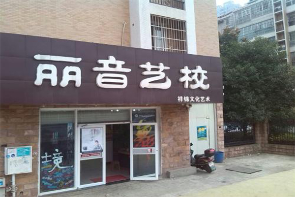 丽音艺术培训学校加盟费