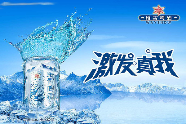 维雪啤酒加盟费