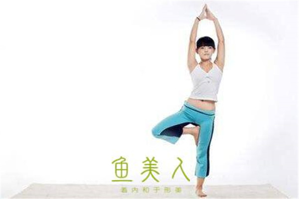 鱼美人减肥加盟费