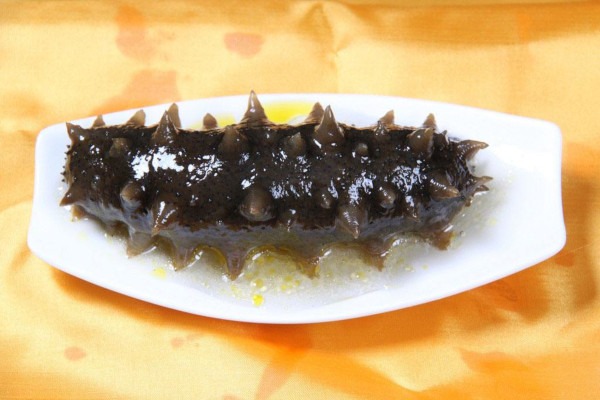 红房子海参加盟费