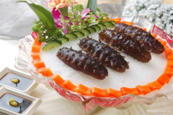 红房子海参加盟费