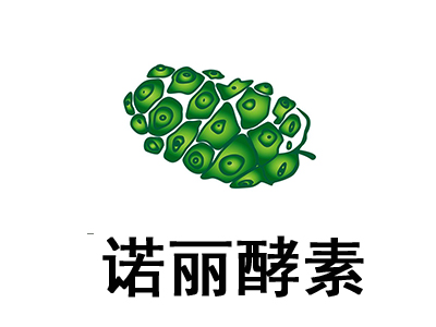 诺丽酵素加盟电话
