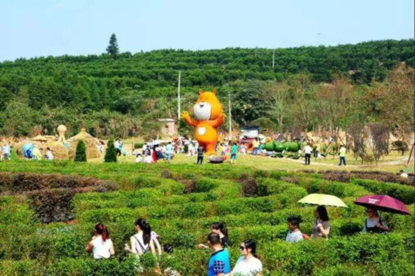 亲子乐园加盟