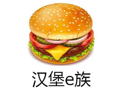 汉堡e族加盟费