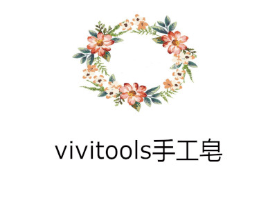 vivitools手工皂加盟