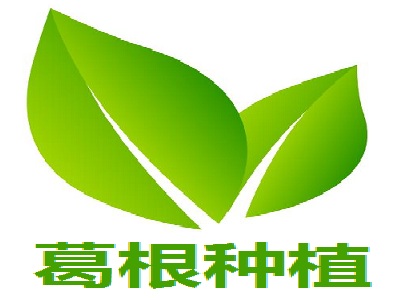 葛根种植加盟