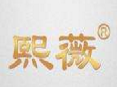 熙薇加盟费