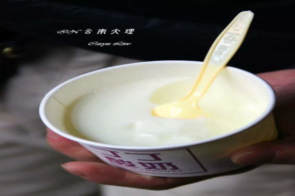 丁丁现酿酸奶加盟
