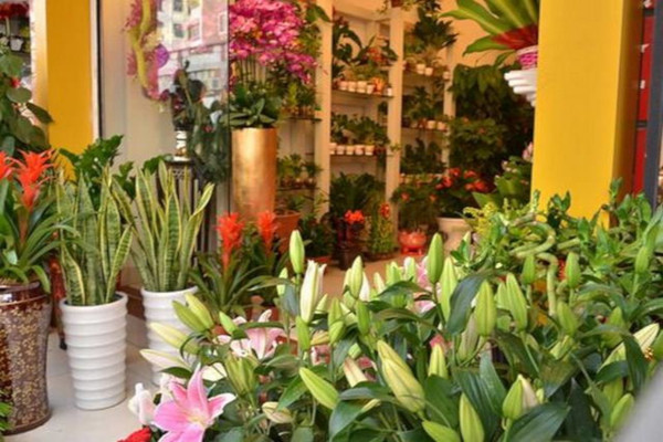 花草当家鲜花店加盟费