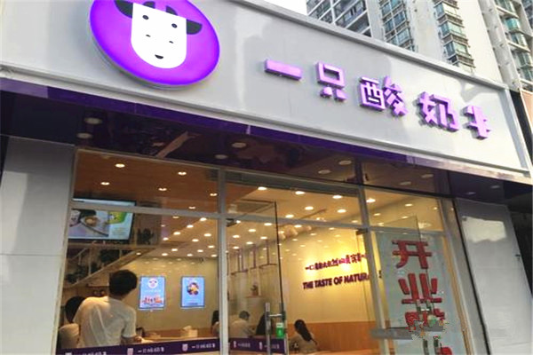 加盟一只酸奶牛多少钱