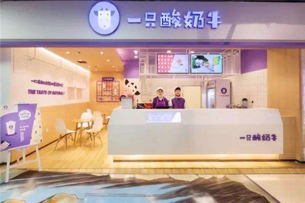 加盟一只酸奶牛多少钱