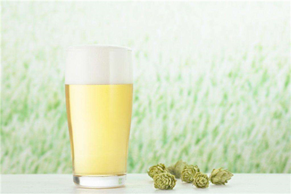 狼毒精酿啤加盟店