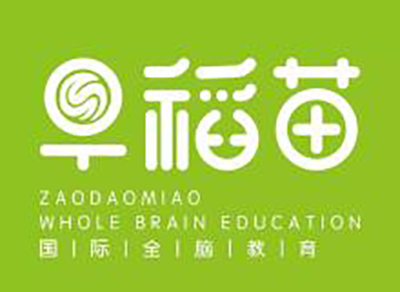 早稻苗国际全脑教育加盟