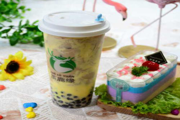 茶鹿缘加盟费