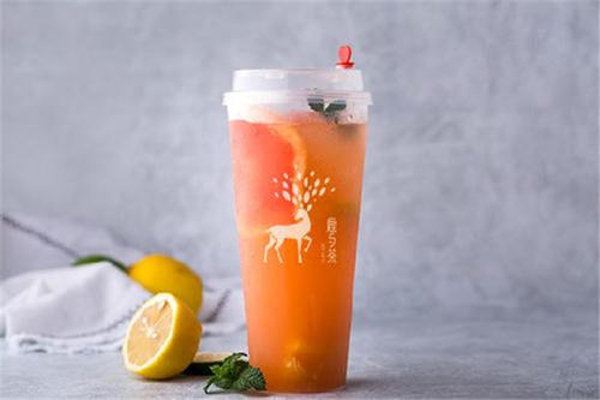 茶鹿缘加盟费