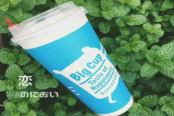 BigCup芬萃