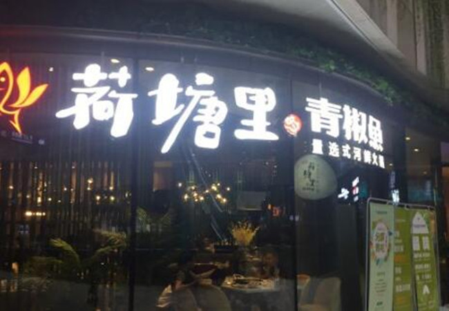 荷塘里的青椒鱼加盟费