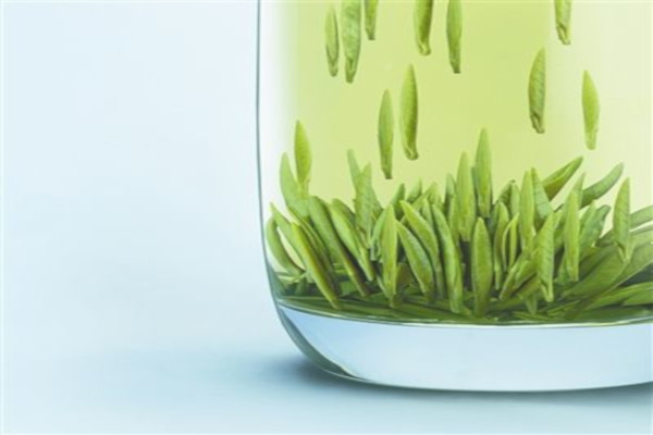 茶里屯加盟费