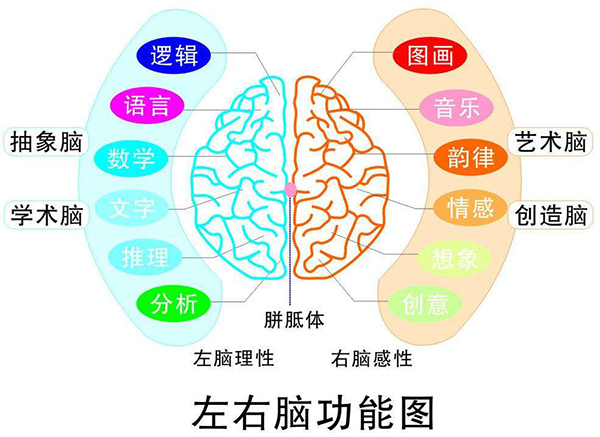牛得很全脑开发加盟店