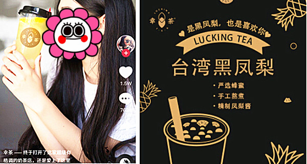 幸茶加盟费