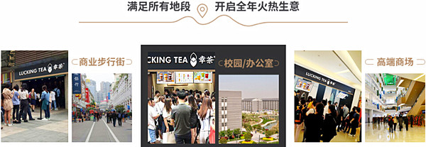 幸茶加盟费
