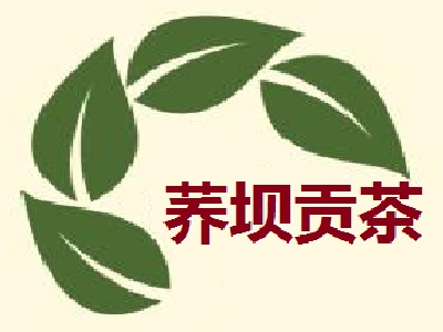 荞坝贡茶加盟