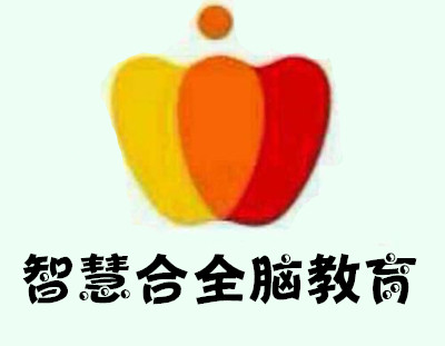 智慧合全脑教育加盟费